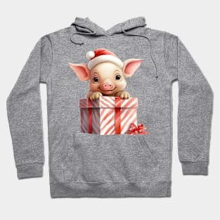 Baby Christmas Pig With Gift Hoodie